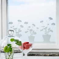Vindusfilm – Pelargonier